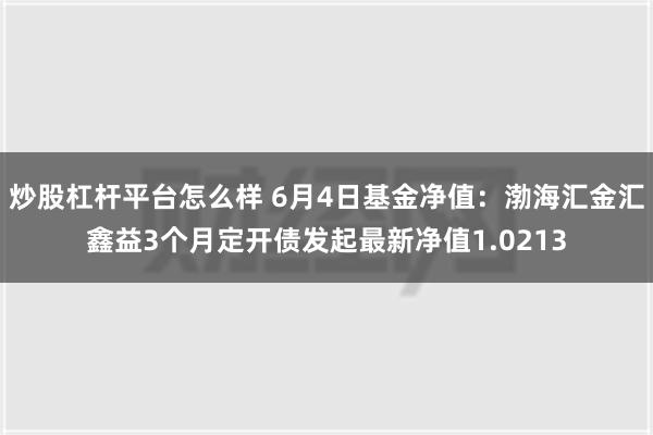 炒股杠杆平台怎么样 6月4日基金净值：渤海汇金汇鑫益3个月定开债发起最新净值1.0213