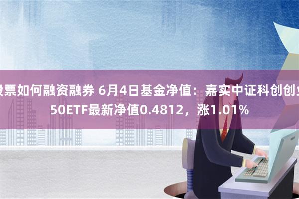 股票如何融资融券 6月4日基金净值：嘉实中证科创创业50ETF最新净值0.4812，涨1.01%