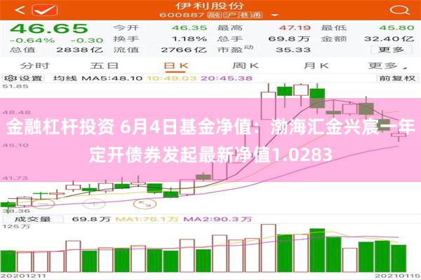 金融杠杆投资 6月4日基金净值：渤海汇金兴宸一年定开债券发起最新净值1.0283