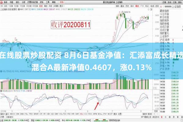 在线股票炒股配资 8月6日基金净值：汇添富成长精选混合A最新净值0.4607，涨0.13%