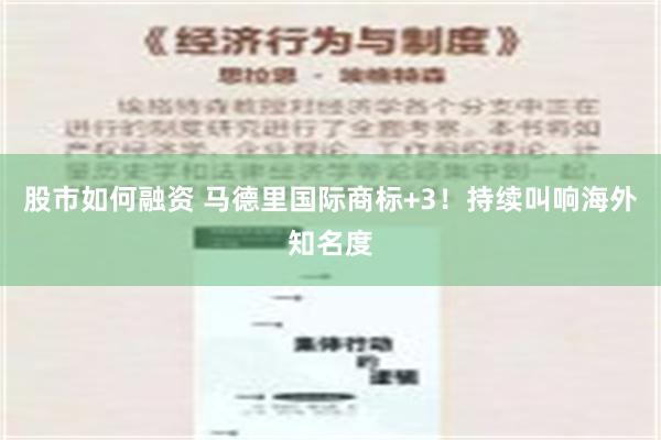 股市如何融资 马德里国际商标+3！持续叫响海外知名度