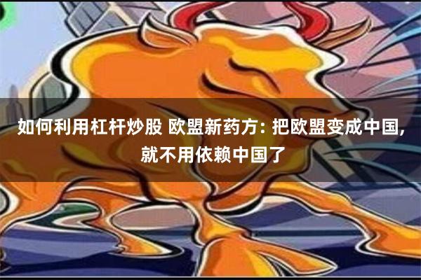 如何利用杠杆炒股 欧盟新药方: 把欧盟变成中国, 就不用依赖中国了