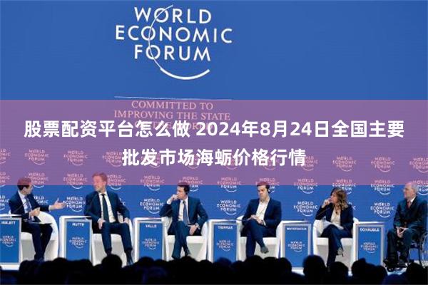 股票配资平台怎么做 2024年8月24日全国主要批发市场海蛎价格行情