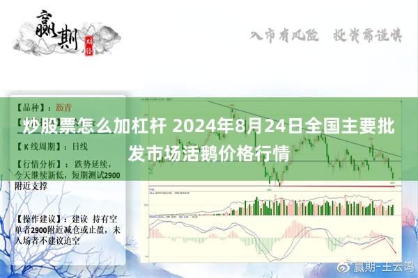 炒股票怎么加杠杆 2024年8月24日全国主要批发市场活鹅价格行情