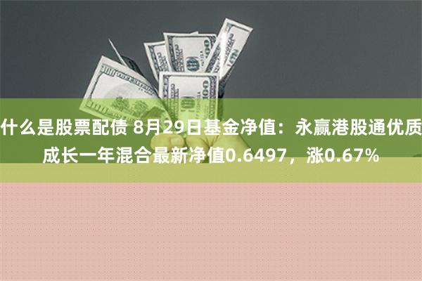 什么是股票配债 8月29日基金净值：永赢港股通优质成长一年混合最新净值0.6497，涨0.67%