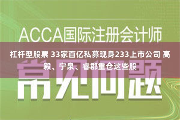 杠杆型股票 33家百亿私募现身233上市公司 高毅、宁泉、睿郡重仓这些股