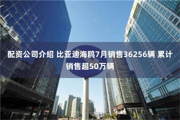 配资公司介绍 比亚迪海鸥7月销售36256辆 累计销售超50万辆