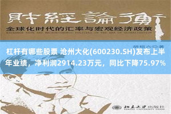 杠杆有哪些股票 沧州大化(600230.SH)发布上半年业绩，净利润2914.23万元，同比下降75.97%