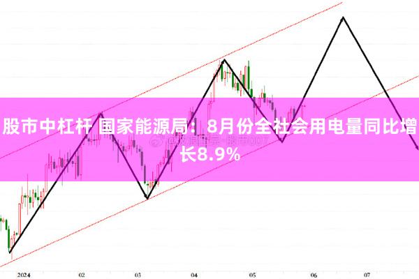 股市中杠杆 国家能源局：8月份全社会用电量同比增长8.9%