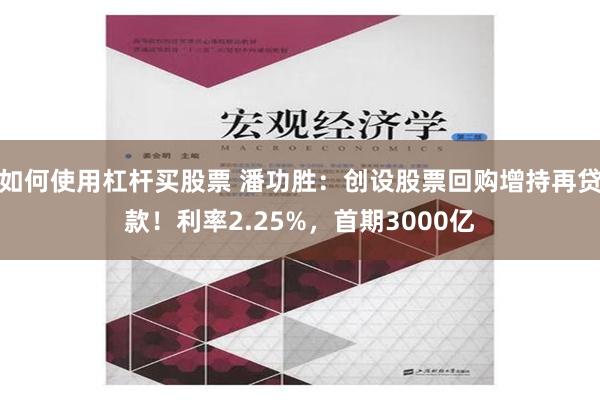 如何使用杠杆买股票 潘功胜：创设股票回购增持再贷款！利率2.25%，首期3000亿