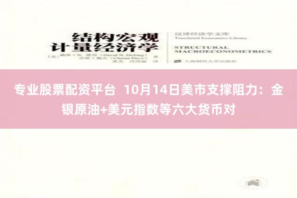 专业股票配资平台  10月14日美市支撑阻力：金银原油+美元指数等六大货币对