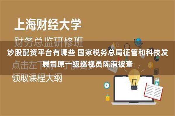 炒股配资平台有哪些 国家税务总局征管和科技发展司原一级巡视员陈洧被查