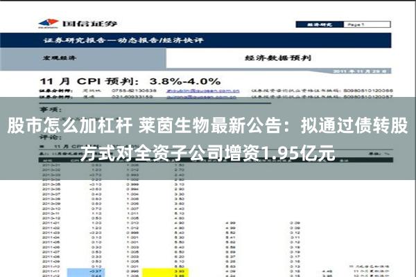 股市怎么加杠杆 莱茵生物最新公告：拟通过债转股方式对全资子公司增资1.95亿元