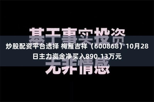 炒股配资平台选择 梅雁吉祥（600868）10月28日主力资金净买入890.13万元