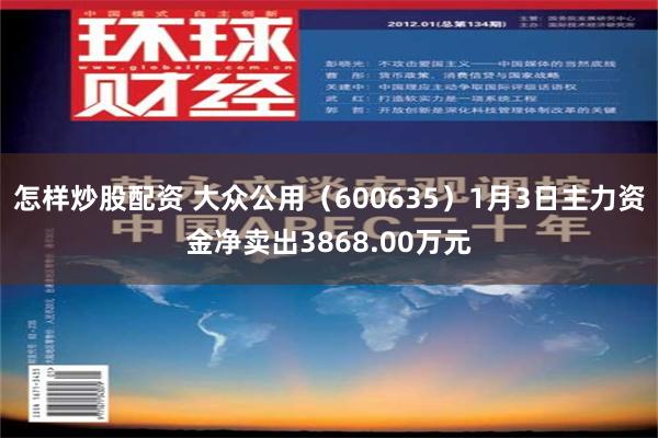 怎样炒股配资 大众公用（600635）1月3日主力资金净卖出3868.00万元