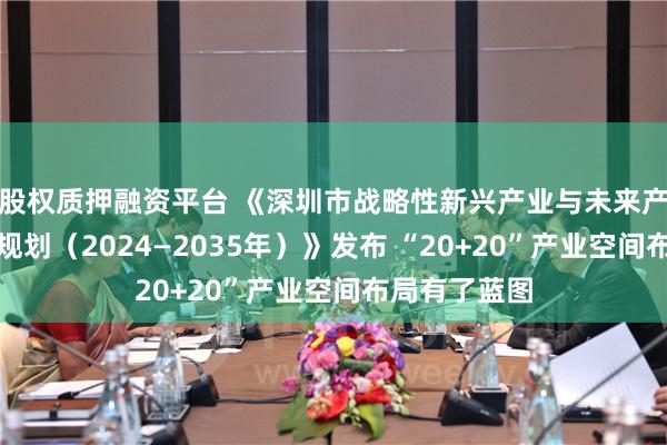 股权质押融资平台 《深圳市战略性新兴产业与未来产业空间布局规划（2024—2035年）》发布 “20+20”产业空间布局有了蓝图