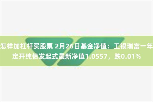 怎样加杠杆买股票 2月26日基金净值：工银瑞富一年定开纯债发起式最新净值1.0557，跌0.01%